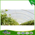 Custom wholesale new products film tomato greenhouse